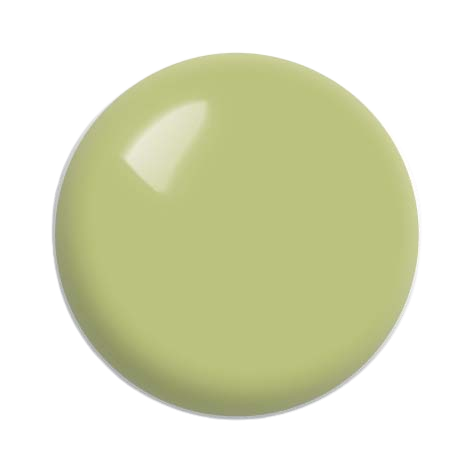 Dance_under_the_Palm_Tree_RGB_4cm-removebg-preview