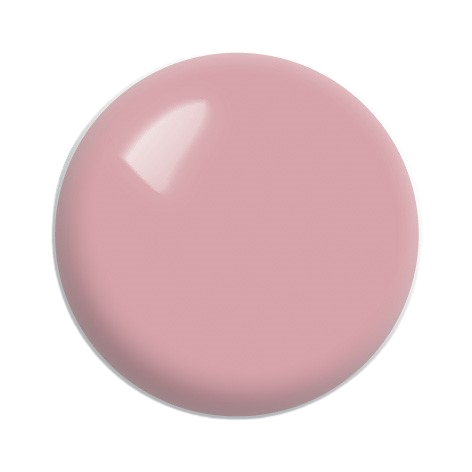 Your_Coconut_Dream-removebg-preview