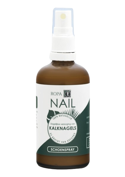 schoenenspray-removebg-preview